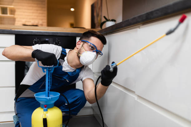 Best Best Pest Control Companies  in Blue Hills, CT