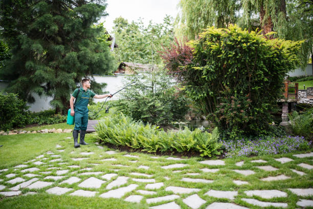 Best Local Pest Control Services  in Blue Hills, CT