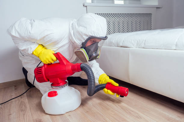 Best Best Pest Control Companies  in Blue Hills, CT