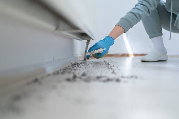Best Bed Bug Extermination  in Blue Hills, CT