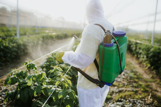 Best Pest Control Near Me  in Blue Hills, CT
